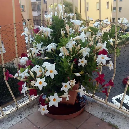 Casa La Corte Viterbo